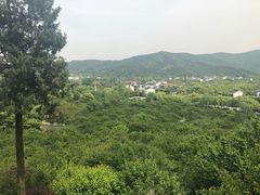 -香雪海