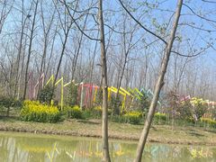 -合肥滨湖国家森林公园