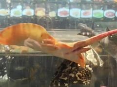 -龙宴海鲜城(经中路店)