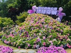 -上海滨江森林公园