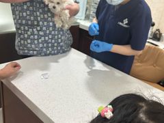 -思琪宠物医院(昆山花桥店)