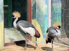 -济南野生动物世界