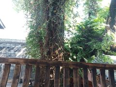 -星巴克(福州三坊七巷店)