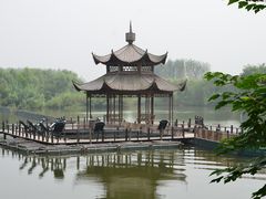 -溱湖国家湿地公园