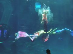 -福州罗源湾海洋世界旅游区