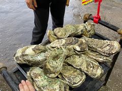 -蚝专家(北滘店)