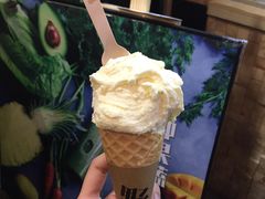 -野人先生现做冰淇淋(西安赛格店)