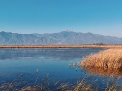 -野鸭湖国家湿地公园