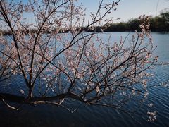 -颐和园