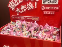 -海底捞火锅(铂澜大象城店)