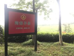 -宜兴龙背山森林公园