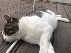 -UNI UNI(环亚凯瑟琳店)