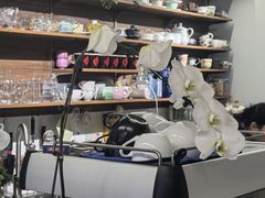 -树咖啡tree coffee