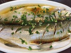 -呼吸森林·生态农庄农家乐私房菜