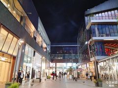 -真地道京味府·鲜橙烤鸭·北京菜(朝外大街东大桥店)