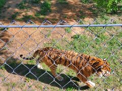 -石家庄市动物园