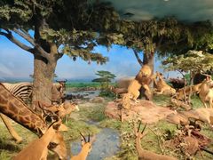 -国家自然博物馆