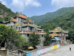 -南海湾森林生态园
