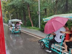 -日照海滨国家森林公园