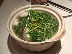 原汁原味西洋菜-煲煲好(朝阳门店)