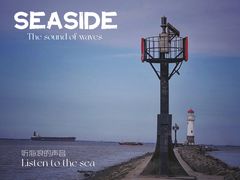 -上海吴淞炮台湾国家湿地公园