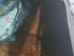 -纳吉亚猫专科动物诊疗中心(蒋宅口分院)