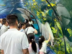 -福州罗源湾海洋世界旅游区