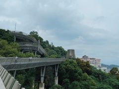 -福道