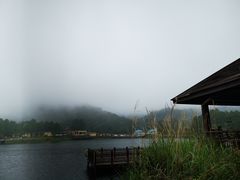 -海南热带雨林国家公园吊罗山景区