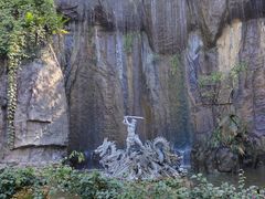 -西双版纳原始森林公园