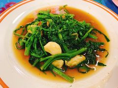 -陳妈妈泰国菜