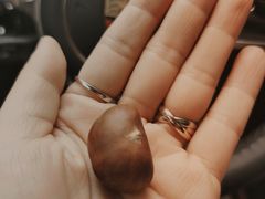 -阿男野栗王(金门路店)