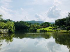-大屏嶂森林公园