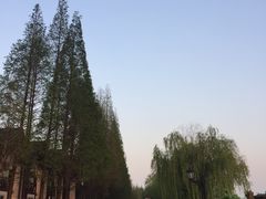 -太阳岛度假酒店