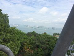 -圣淘沙天际线斜坡滑车