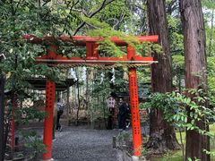 -野宫神社