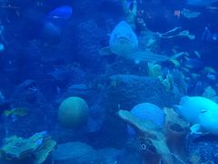 -成都浩海立方海洋公园