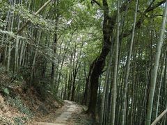 -西湖风景区十里琅珰-五云山