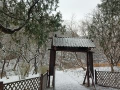 -香山公园