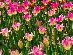 -长春公园(普阳街道)