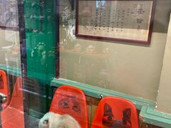 -猫咪博物馆(顶澳仔猫街店)