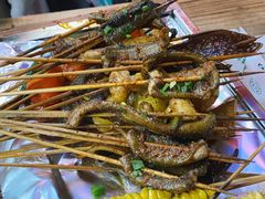 鳝鱼-晓靖轩烧烤(沙河风情店)