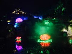 -秀丽东方