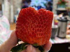 -永旺梦乐城(金银潭店)