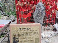-潭柘寺景区