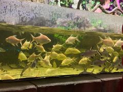 -顺德南宏海立方海洋公园
