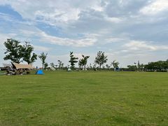 -春花秋色城市公园