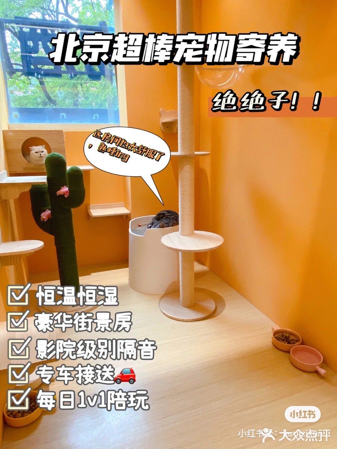无语..太爽了!这寄养房间不得不服