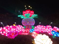 -映月湖公园