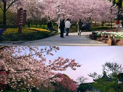 -苏州上方山国家森林公园